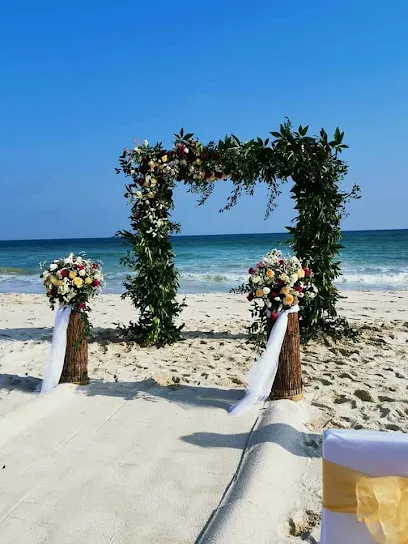 Image of AYLE EVENTS