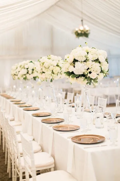 Image of Intelligent Party & Event Rental Store